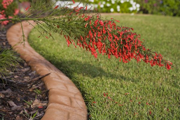 Brick Edging in Marion