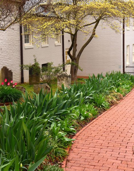 Brick Flatwork Repair in Marion